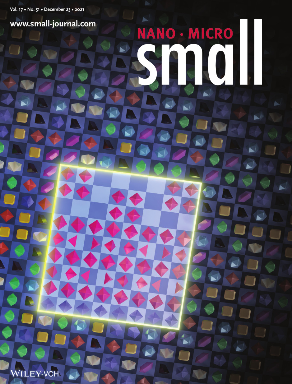 Small (vol. 17, num. 51)